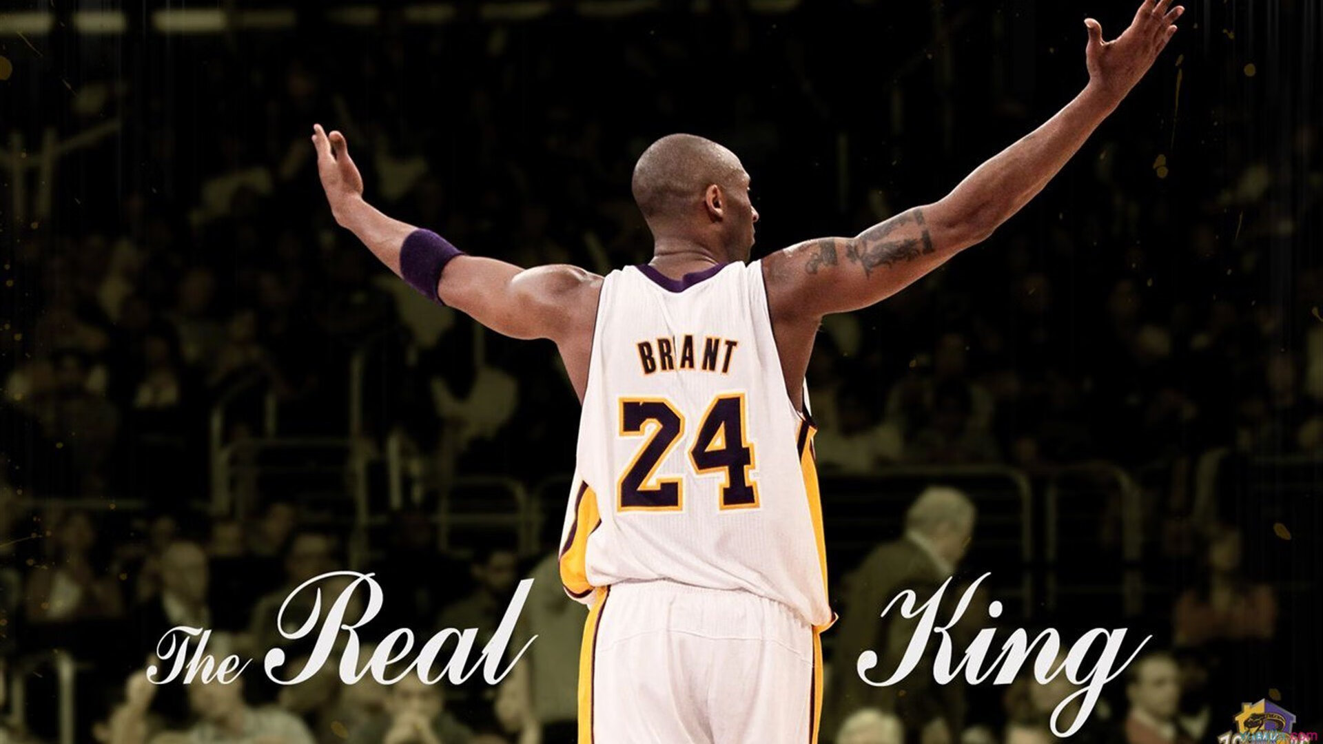 布克穿针引线,广厦团队篮球轻取公牛